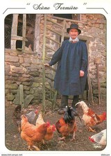 Animaux oiseaux poules d'occasion  Fruges