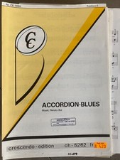 Accordion blues renato gebraucht kaufen  Ravensburg