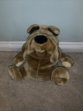 shar pei for sale shar pei for sale SOUTHMINSTER