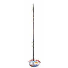 Canna pesca daiwa usato  Italia