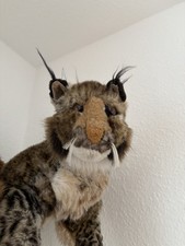 Sigikid luchs stofftier gebraucht kaufen  Weingarten