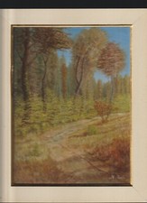Quadro dipinto olio usato  Cirie