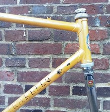 Old bike pinarello d'occasion  Buchy