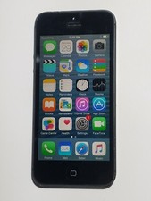 Ultra rare apple for sale  Waterbury