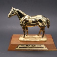 Vtg champion youth for sale  Denham Springs