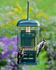 Squirrel buster suet for sale  El Dorado Hills