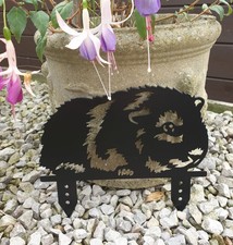 Guinea pig black for sale  DURHAM
