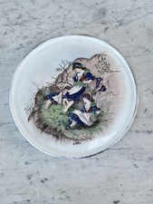 Piatto decorato mano usato  Trieste