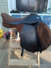 Thorowgood pony long for sale  MORPETH