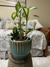 Midcentury cog style for sale  Duluth