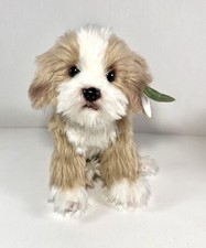 Bearington murphy maltipoo for sale  Saint Paul
