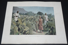 Photo printed 1895 d'occasion  Expédié en Belgium