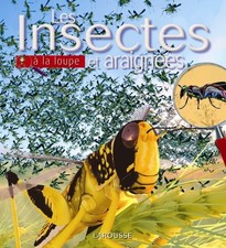 Insectes, araignées d'occasion Insectes, araignées d'occasion Corbeil-Essonnes