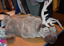 disney sven plush for sale disney sven plush for sale Austin
