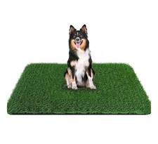 Grass pad dogs for sale  Anaheim