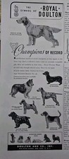 1949 royal doulton for sale  Bridgeport