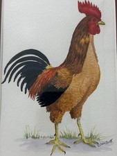 Original watercolor rooster for sale  Mont Clare