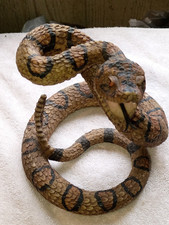 Rattle snake statue for sale  Windber
