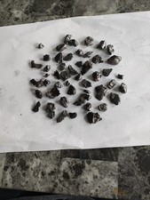 Meteorite lot 100 for sale  Haslet