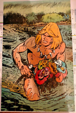Rare puzzle rahan d'occasion  Diarville