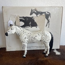 black horse for sale black horse for sale Aplington