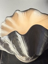 Dongguan seashell clam for sale  High Ridge