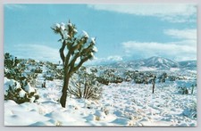 Postcard snow desert for sale  Bourbonnais
