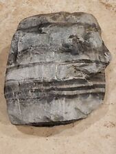 Huge banded metemorphic for sale  Capistrano Beach