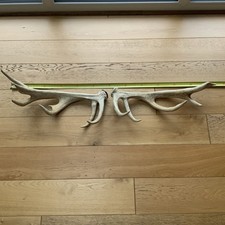Red deer antler for sale  PONTYPRIDD