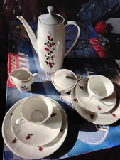 Teiliges kaffeeservice rosenmu gebraucht kaufen  Badbergen
