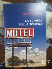 Scimmia sulla schiena usato Scimmia sulla schiena usato  Parma