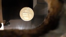 One pound coin for sale  REDRUTH