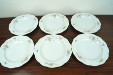 6er set rosenthal gebraucht kaufen  Aschau