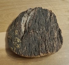 korkrinde gebraucht kaufen korkrinde gebraucht kaufen Nürnberg