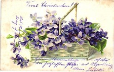 Blumen korb veilchen gebraucht kaufen  Bad Bevensen
