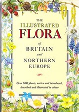 Illustrated flora britain for sale  ROSSENDALE