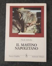 Mastino napoletano nicola usato  Sanremo