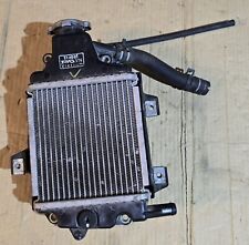 Radiatore raffreddamento liqui usato  Aversa