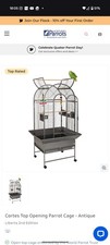 Liberta cortes parrot for sale  DONCASTER