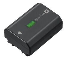 Sony fz100 batteria usato  Villa Celiera