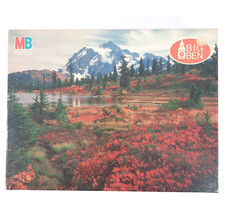 Milton bradley big for sale  Cabot