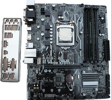Asus prime b250m gebraucht kaufen  Schiffdorf