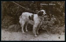 Dogs breeder epagneul d'occasion  Expédié en Belgium
