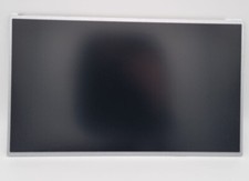 Display lp173wd1 zoll gebraucht kaufen  Glauchau