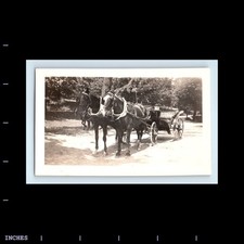 Old vintage photo for sale  Grass Valley