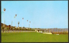 Cartão postal Driving Range Three Ponds Golf Elysburg PA década de 1960 comprar usado  Enviando para Brazil