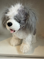 Build bear shih for sale  WALTON ON THE NAZE