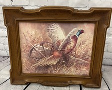 Pheasant hunting robert for sale  Dawson