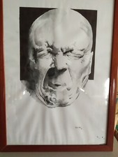 Quadro maggiore cornice usato  Sarzana