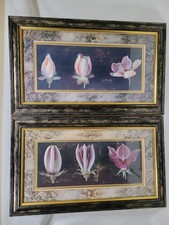 Fabrice villeneuve flower for sale Fabrice villeneuve flower for sale  BEDALE